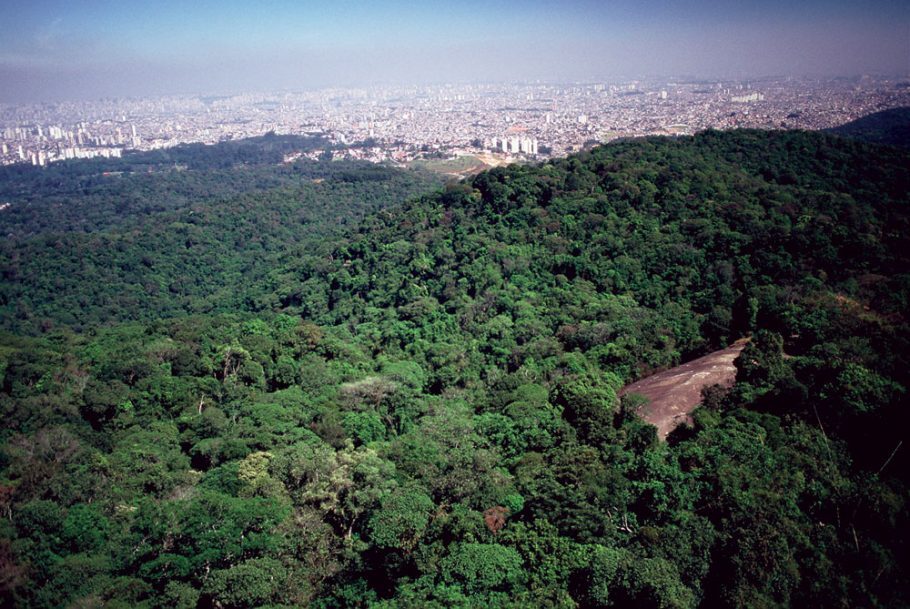 No Núcleo Pedra Grande do Parque Estadual da Cantareira está um dos mais surpreendentes mirantes da cidade