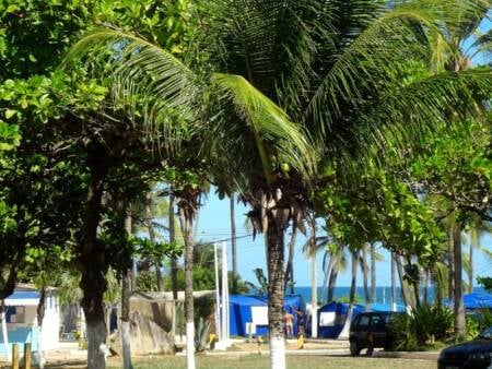 Camping Itapuã passa por processo de encerramento das atividades e desapropriação dos campistas fixos