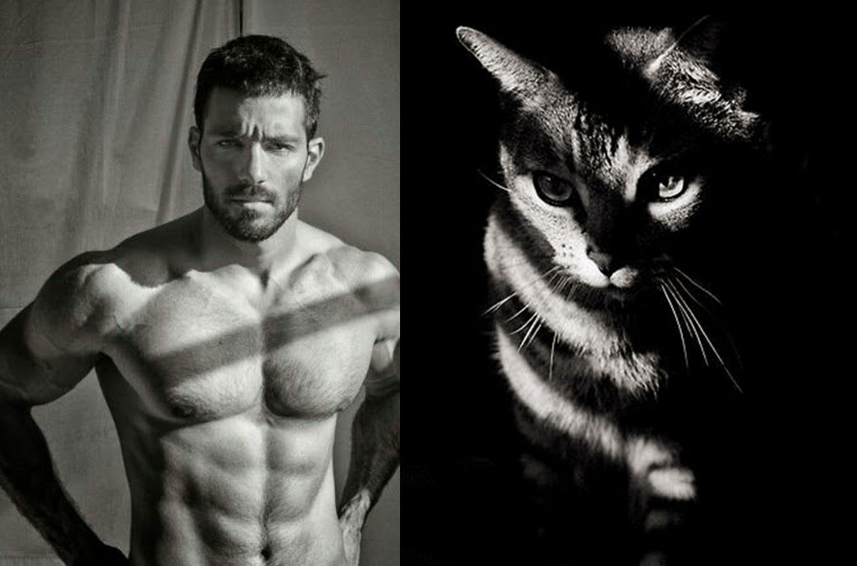 Tumblr Reúne Imagens De Homens E Gatos Com Poses Semelhantes