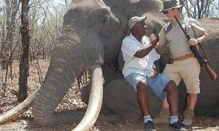 O caçador alemão publicou fotos nas redes sociais ao lado do elefante morto
