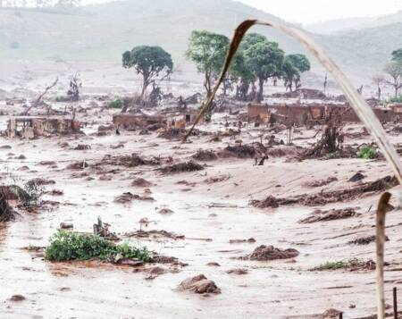 Tragédia anunciada acabou com a fauna e flora local, além de contaminar um dos rios mais importantes de Minas Gerais