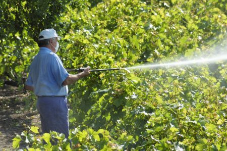 Brasil lidera consumo de agrotóxicos no mundo