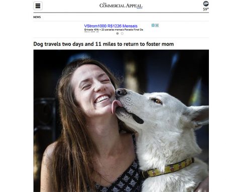 A norte-americana Rachel Kauffman já tinha dois cachorros e não planejava adotar um outro animal, mas solidarizou-se com o cão Hank quando viu fotos dele na internet