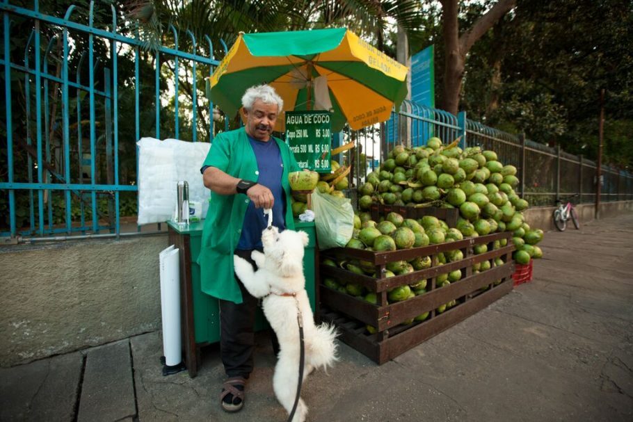 Seu Zé recebe os cãezinhos com coco fresco em sua barraca