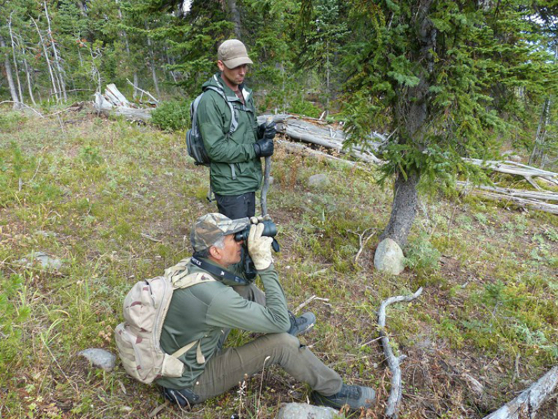 Rod Conorado e sua equipe filmam caçadores e documentam o uso de iscas e de armadilhas