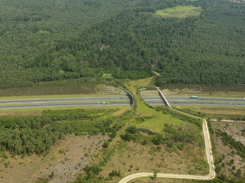 Construções que respeitaram o fluxo da natureza local