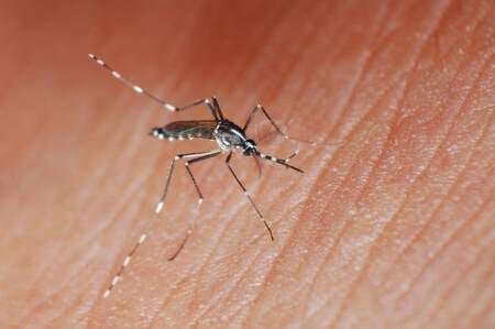 O aumento dos casos da síndrome de Guillain-Barré está relacionado ao zika vírus