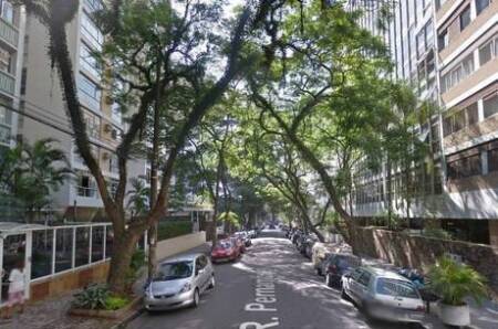 Moradores da região afirmam que árvores avaliadas pela prefeitura estão em bom estado e não precisam de remoção