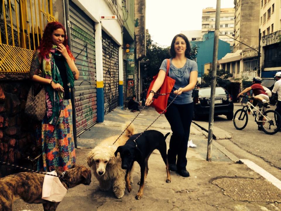 Veterinária ajuda animais em situação de rua