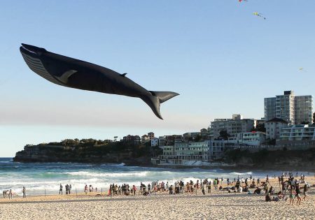 Festival de pipas em Sydney, Austrália