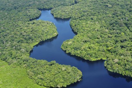 Além do Brasil, a Amazônia compreende outros oito países da América do Sul