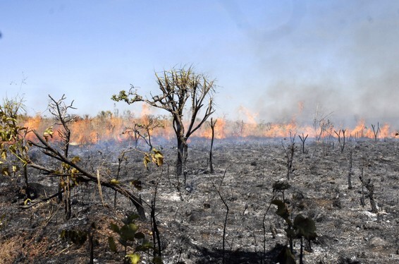 A baixa umidade relativa do ar tem contribuído para os incêndios em São Paulo