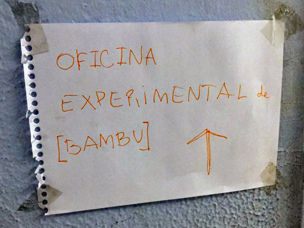 Reprodução/@YaraTorress