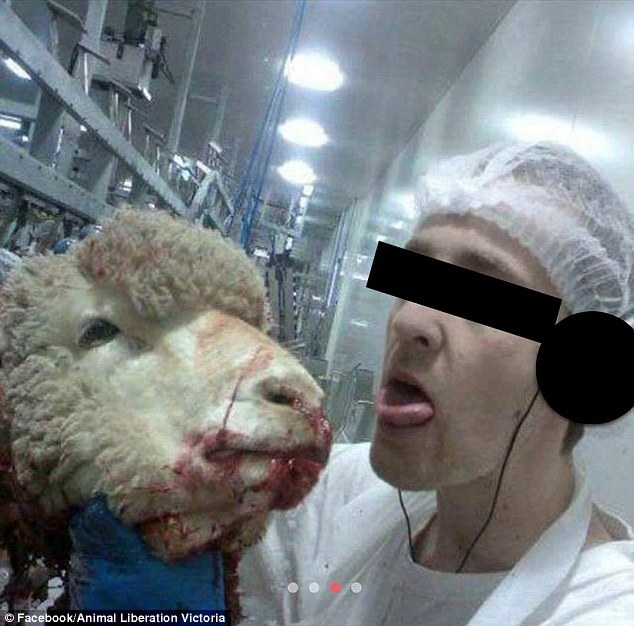 Usuário publicou foto com cabeça de ovelha no Tinder
