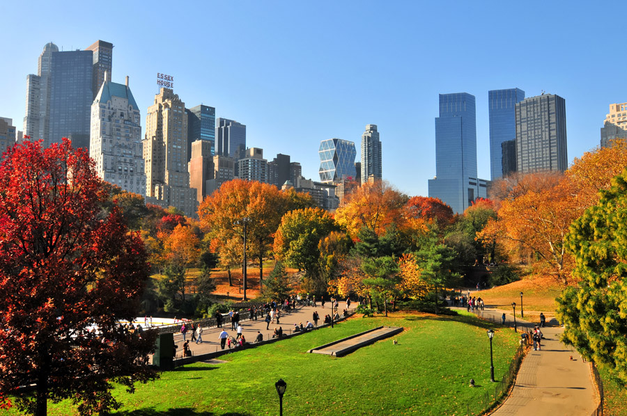 Central Park, NY. (Foto: site Nova York)