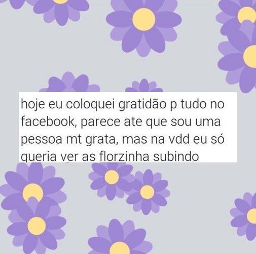 Reprodução/Facebook/Florzinha