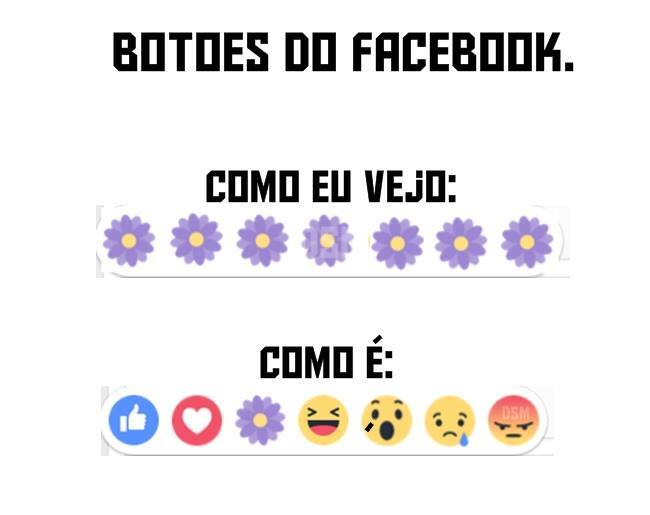 Reprodução/Facebook/Florzinha