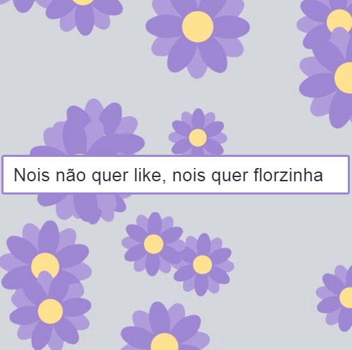 Reprodução/Facebook/Florzinha