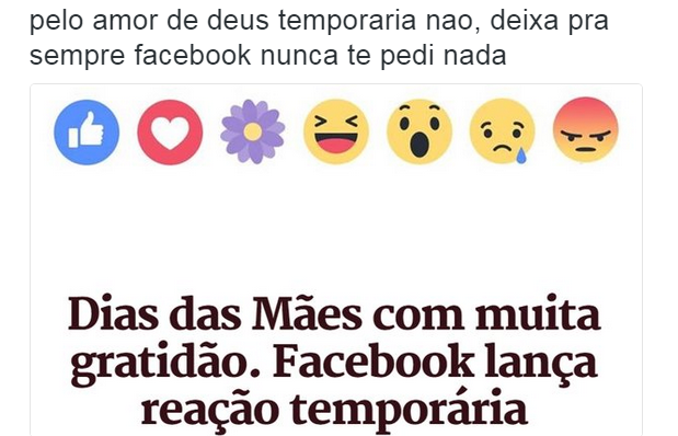 Reprodução/Facebook/Florzinha