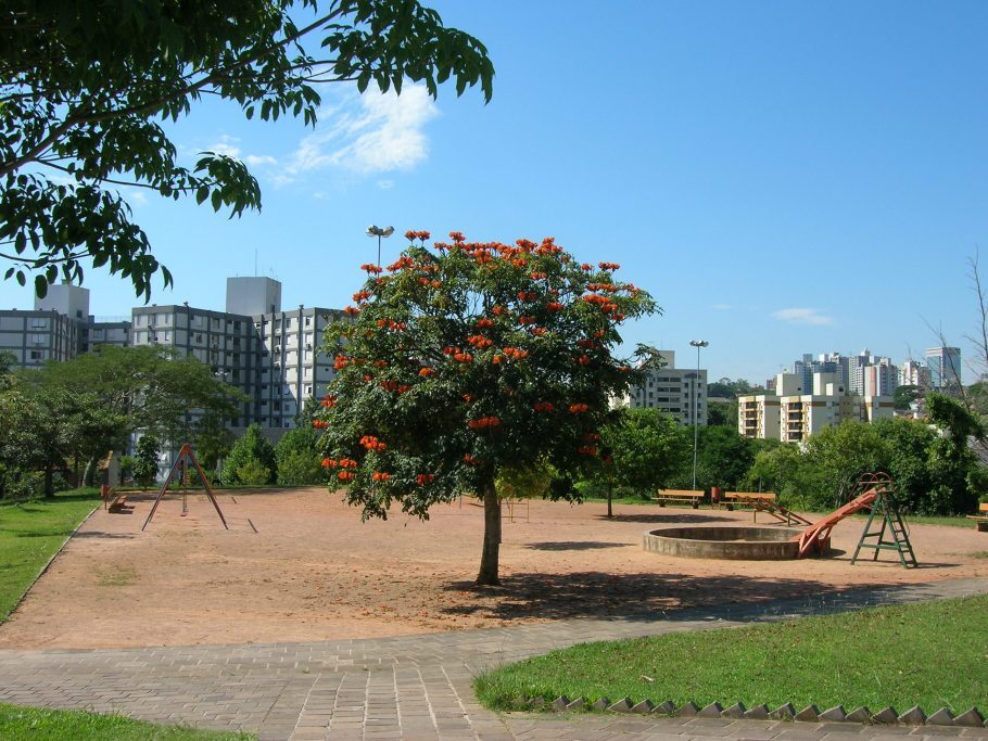 A organização aconselha a criação de uma política urbanística participativa