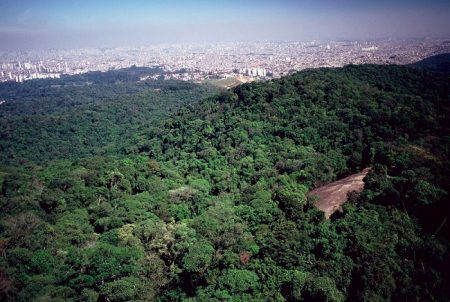 Parque Estadual da Cantareira, uma das maiores áreas verdes da capital paulista, pode passar a cobrar entrada dos visitantes