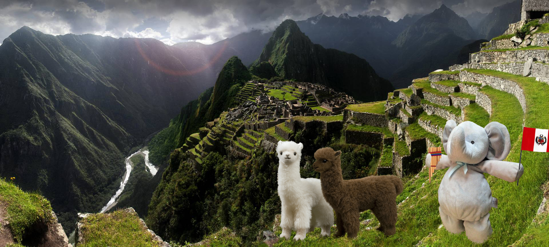 Visitando Machu Picchu