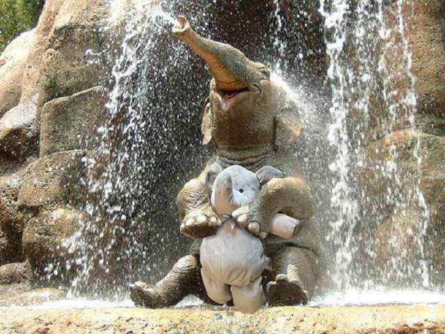 Tomando um banho de cachoeira