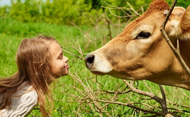 Acampamento mostra a importância da luta pelos animais