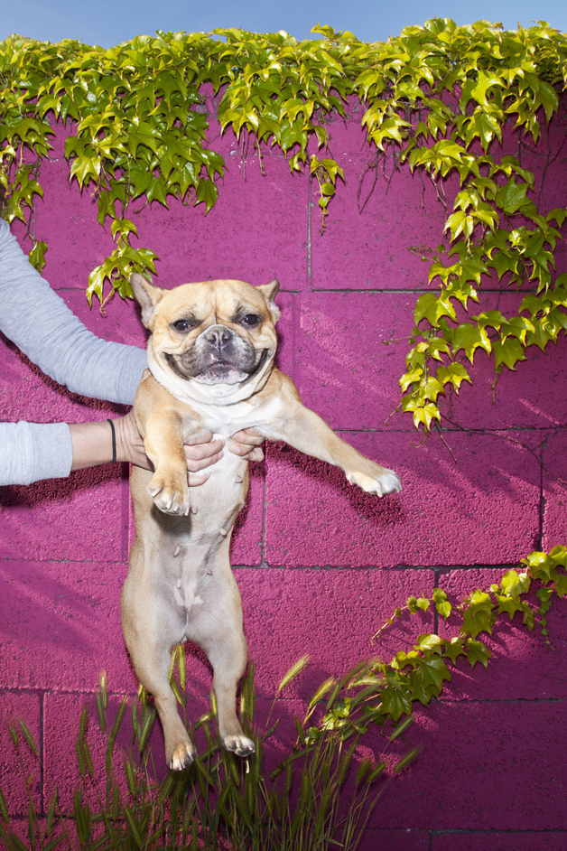 Para esta pessoa, seu cachorro é o que lhe traz felicidade