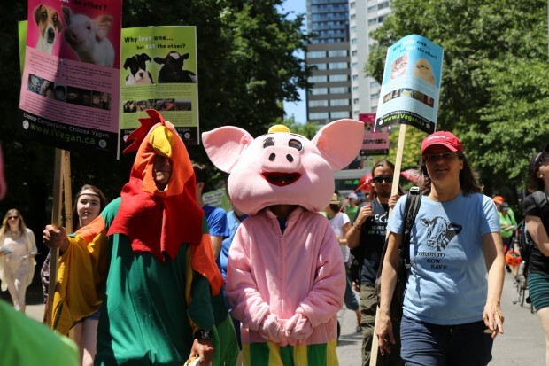 Toronto levantou importância de pautas vegetarianas