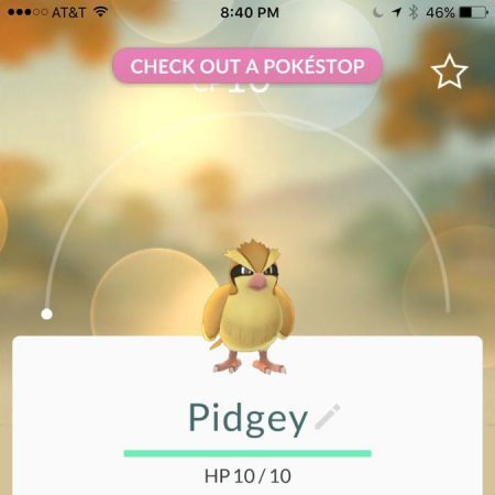 Tipos de Pokémon: veja vantagens e desvantagens de cada tipo