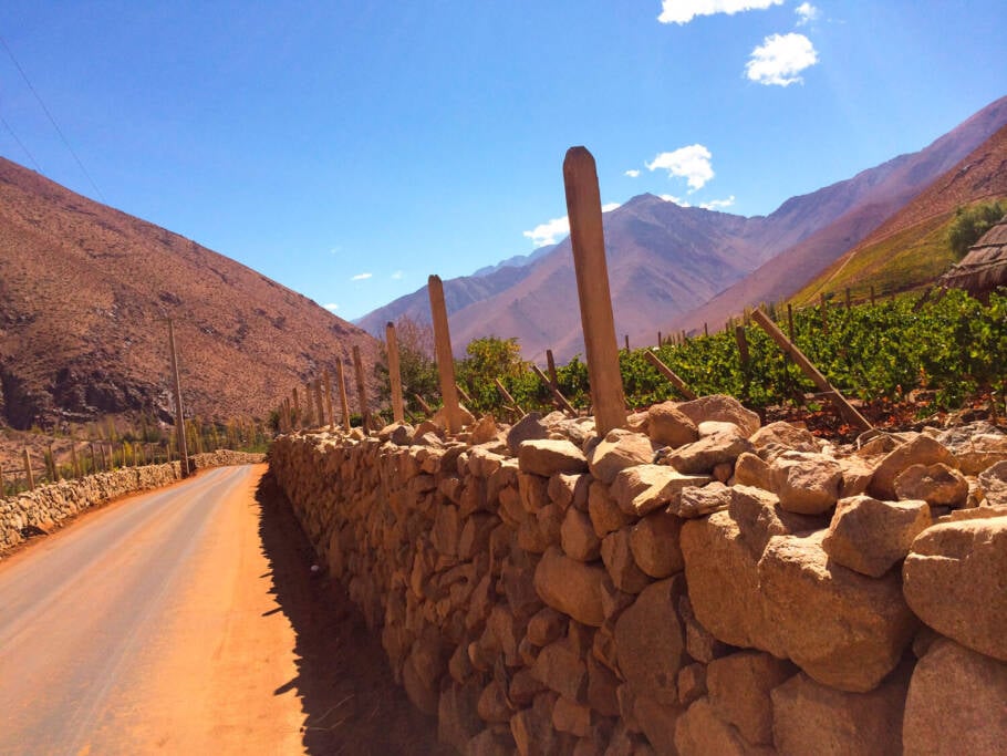 Início da descida pelos vinhedos de Pisco Elqui