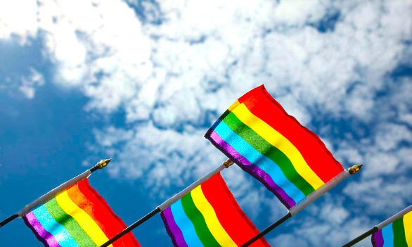 Orgulho LGBT também na política