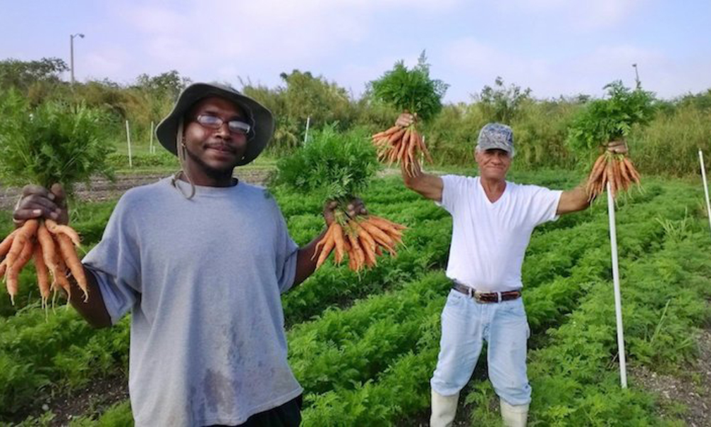 A fazenda de produtos orgânicos já ajudou mais de 10 mil moradores de rua