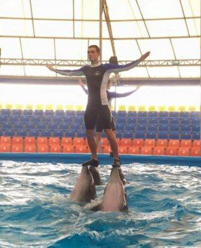 Foto: Vicky Kiely/Ric O’Barry’s Dolphin Project Facebook