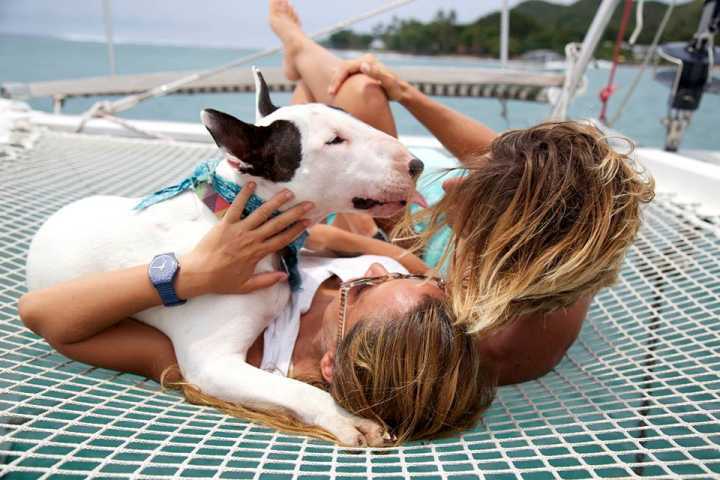 Bruna, Renato e o bullterrier Feijão