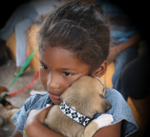 Reprodução/World Animal Day