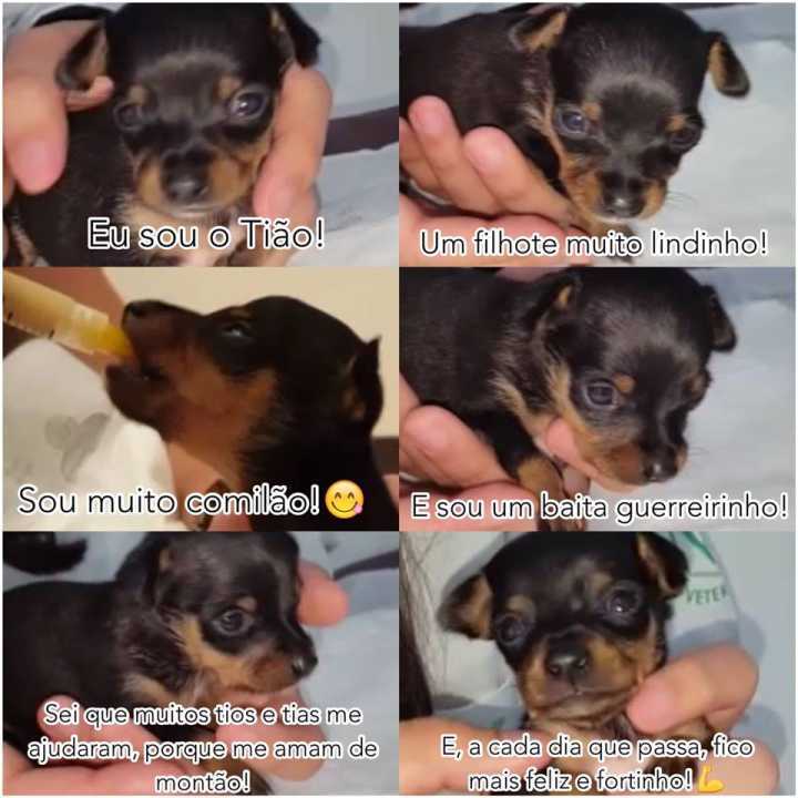 Tião está cada dia melhor
