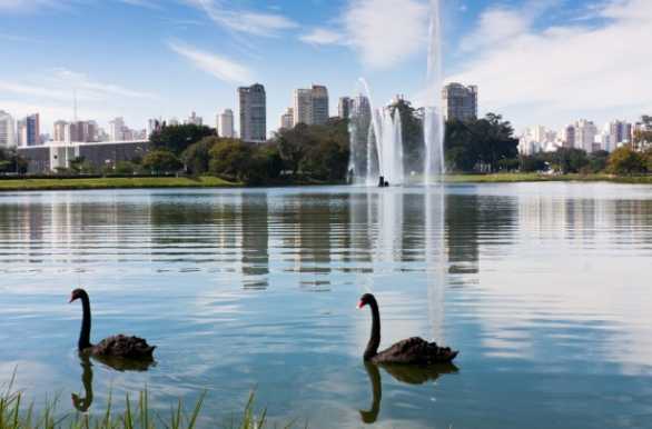 Parque Ibirapuera