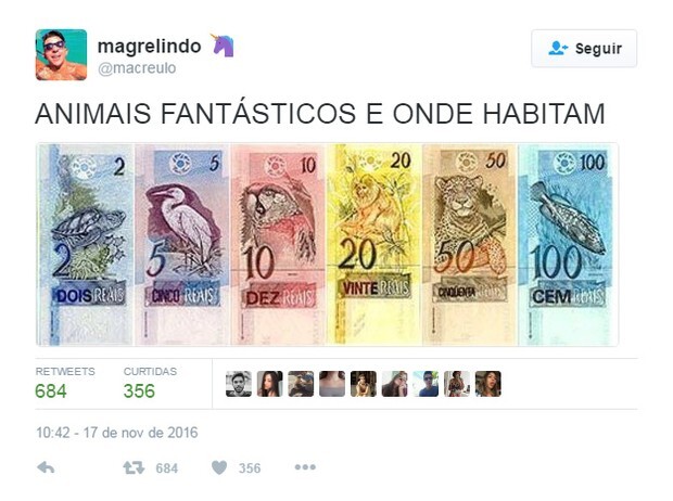 Memes sobre “Animais Fantásticos e Onde Habitam”