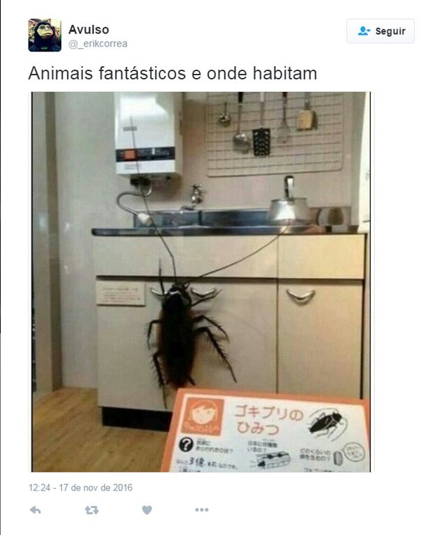 Memes sobre “Animais Fantásticos e Onde Habitam”