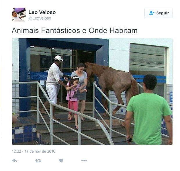 Memes sobre “Animais Fantásticos e Onde Habitam”