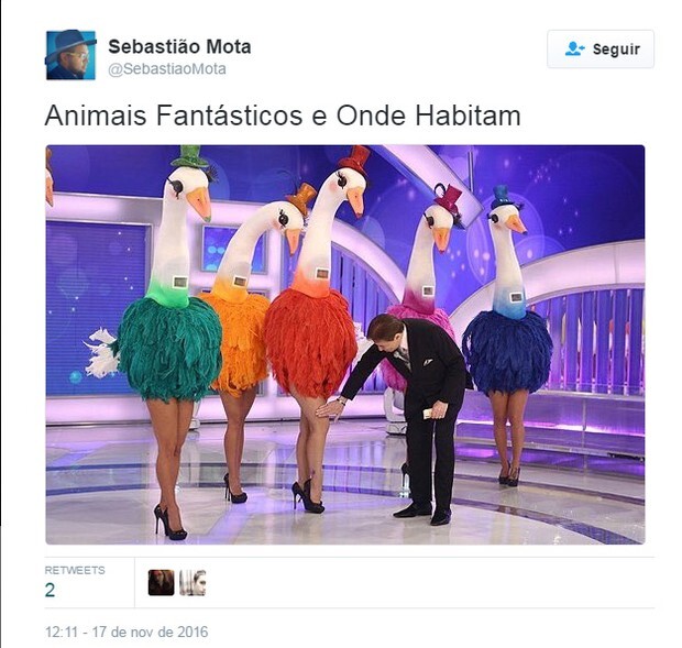 Memes sobre “Animais Fantásticos e Onde Habitam”