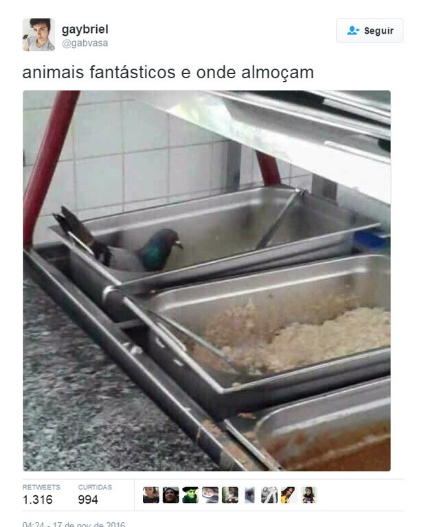 Memes sobre “Animais Fantásticos e Onde Habitam”