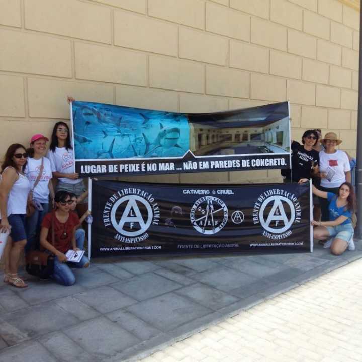 A construção do aquário foi envolta em inúmeras discussões e contradições