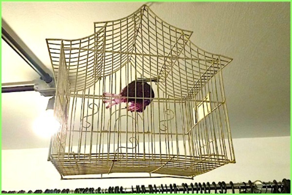 Mãe e filha mantém brechó na Rua Augusta há nove anos