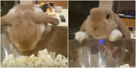 O vídeo foi visualizado mais de 42 mil vezes