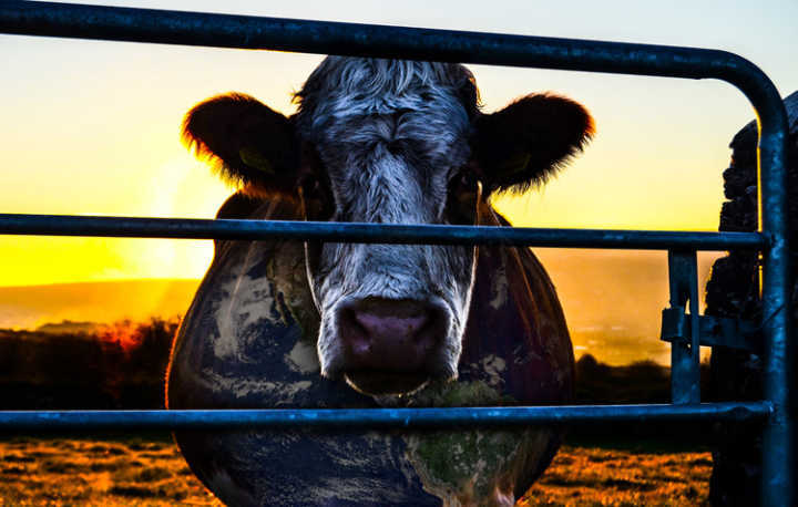 Imagem do filme "Cowspiracy"