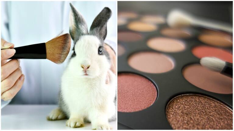 Maquiagens e cosméticos veganos ou cruelty-free