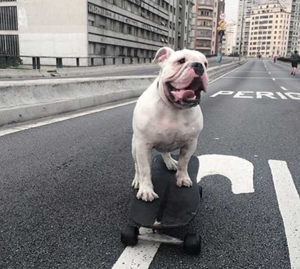 Mais um rolê pelo Parque Minhocão em São Paulo